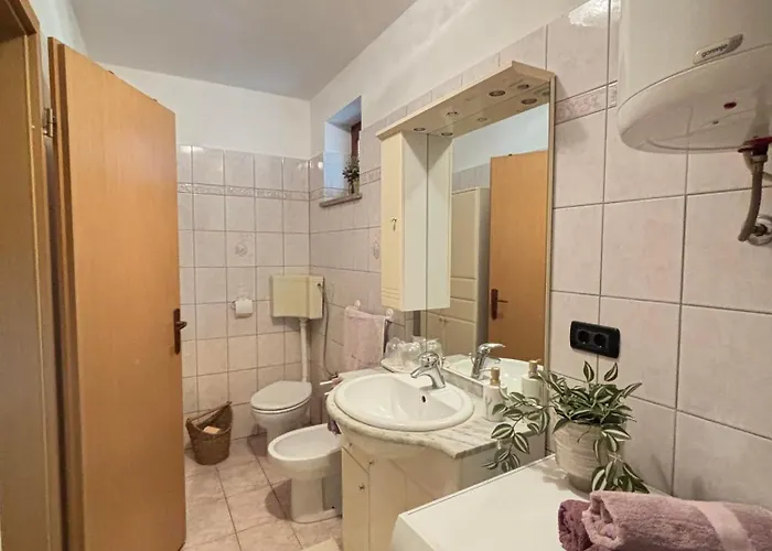 Viola Apartament