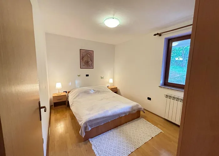 Viola Apartament *
