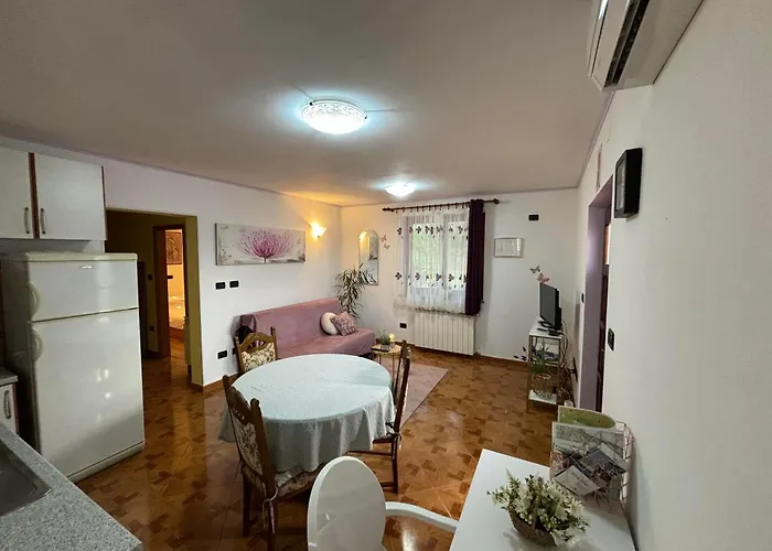 Viola Rovinjsko Selo